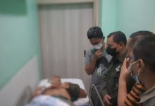 Photo of Pasca Harimau Sumatera Terkam Dokter Hewan, Warga Diminta Hati-Hati