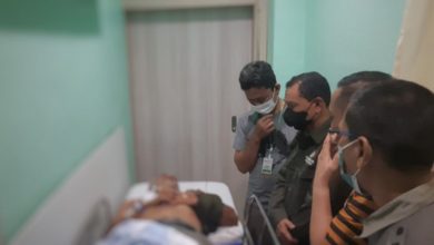 Photo of Pasca Harimau Sumatera Terkam Dokter Hewan, Warga Diminta Hati-Hati