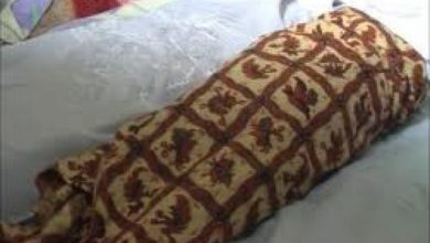 Photo of Bapak Biadab di Pasar V Tembung Tega Banting Anak Kandung yang Masih Balita Hingga Tewas