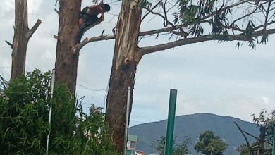 Photo of Pintu Pagar PT.BUK Di Siosar Dirusak, Kasusnya Dilapor Ke Polres Karo