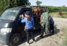 Photo of Antisipasi Penyakit Mulut dan Kuku, Pemkab Karo Periksa Ternak Masuk ke Tanah Karo