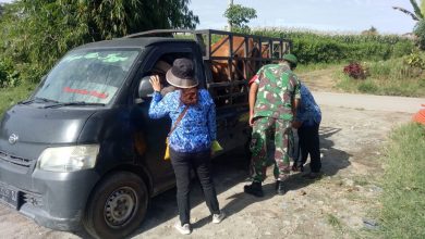 Photo of Antisipasi Penyakit Mulut dan Kuku, Pemkab Karo Periksa Ternak Masuk ke Tanah Karo