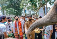 Photo of Akan Dilengkapi Resort dan Wahana Salju, RANS Entertainment Milik Raffi Ahmad Siap Berinvestasi di Medan Zoo