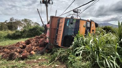 Photo of Hindari Adu Kepala,Truk Muatan Sawit Terbalik Timpa Tiang Listrik, Supir dan Kenek Selamat