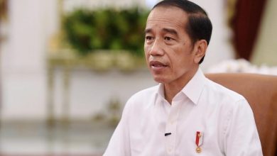 Photo of Jokowi : Kalau Dikit-dikit Demo, Negara Sulit Membangun