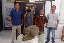 Photo of Kurir Beserta Ganja Seberat 50 Kg Diamankan Polisi di Pintu Tol Tebing Tinggi