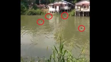 Photo of Digrebek Polisi Kasus Narkoba, Belasan Warga Terjun Bebas ke Sungai Deli