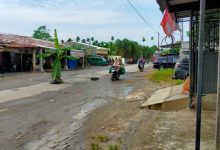 Photo of Sebagai Bentuk Protes, Warga Tanam Pohon Pisang Ditengah Jalan