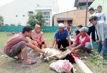 Photo of Warga BSP Lubuk Pakam Sembelih 4 Lembu dan 4 Kambing
