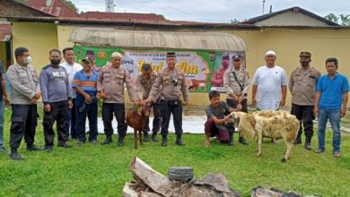 Photo of Rayakan Idul Adha 1443 H, Polsek Galang Laksanakan Qurban 2 Ekor Kambing