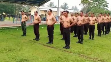 Photo of Hadapi Penggarap dan Mafia Tanah, Satpam PTPN III Kebun Pulau Mandi Tingkatkan Semangat Jiwa Korsa dan Bela Diri