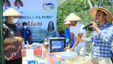 Photo of Tingkatkan Hasil dah Kesejahteraan Petani, Bupati Samosir Launching Program Pangula Nature