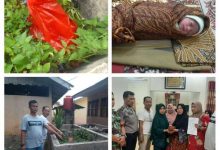 Photo of Geger, Warga Desa Aliaga Temukan Bayi di Bak Sampah Sekolah SDN 00705 Alogo Pulogodang