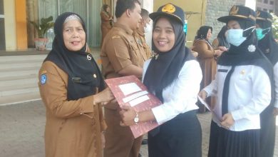 Photo of 199 SK Pengangkatan P3K Tahap II Diserahkan Plt Bupati Palas Secara Serentak