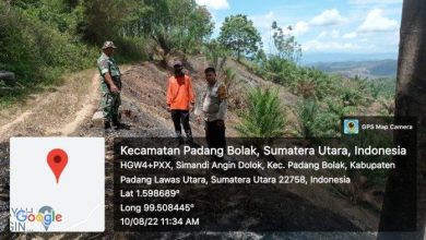 Photo of Polisi dan TNI Sigap Turun ke Lokasi Lahan yang Terbakar di Padang Bolak