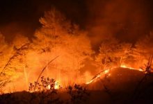 Photo of Alasan Mau Tanam Jagung, Nenek-nenek Diduga Dalangi Karhutla di Samosir
