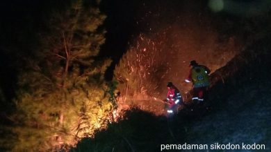 Photo of Puluhan Hektar Bukit Danau Toba Terbakar