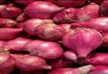 Photo of Guna Mengendalikan Harga, Pemprov Sumut Fokus Jaga Paokan Barang