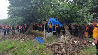 Photo of PTPN 2 Bersihkan Areal HGU Kebun Melati