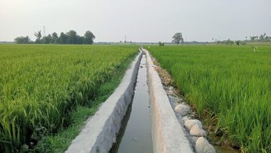 Photo of Proyek Irigasi di Desa Perdamean Deli Serdang Mengular dan Bergelombang