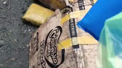 Photo of 2 Kardus Ganja di Deli Serdang yang Tak Bertuan, Polisi Buru Pemiliknya