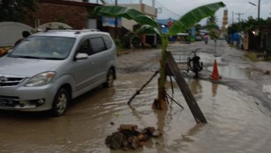 Photo of Sebagai Bentuk Protes, Warga Tanam Pohon Pisang di Jalan Provinsi Kisaran-Simalungun