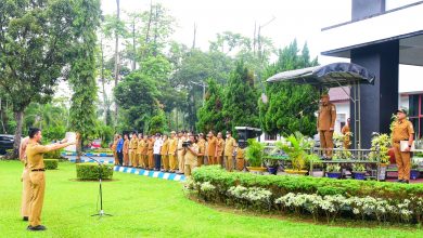 Photo of Apel Gabungan Perdana, Sekda: Capaian PAD Deli Serdang 2022 Sebesar 71 Persen