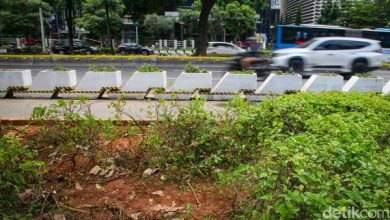 Photo of Relawan Jokowi Janji Ganti Rugi Jika Terbukti Rusak Tanaman Dekat GBK