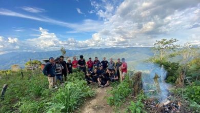 Photo of Polisi Grebek Ladang Ganja di Madina, 11 Hektare Lahan Ditemukan