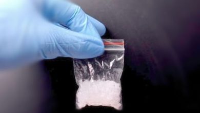 Photo of Selundupkan 75 Kg Sabu dan 40 Ribu Butir Ekstasi, 2 Oknum Prajurit TNI Ditangkap di Galang