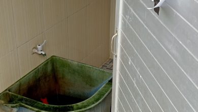 Photo of Berbulan Saluran Air Mushalla Disdik Deli Serdang Sumbat