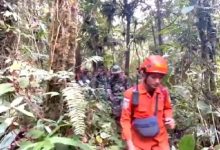 Photo of Hilang Misterius di Hutan Bukit Barisan, 3 Warga Madina Diduga Dimangsa Harimau