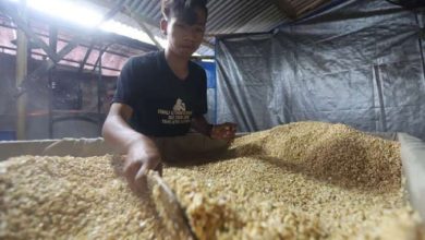 Photo of 56.000 Ton Kedelai Impor Akan Dijual Rp 12.000 Per Kg