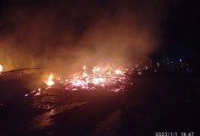 Photo of 9 Kios di Batang Serangan Ludes Terbakar, Polisi Masih Lakukan Penyelidikan
