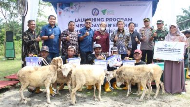 Photo of Wabup Deli Serdang Resmikan Sentra Breeding Domba Kolaborasi YBM BRILiaN dan DD Waspada