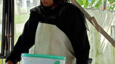 Photo of Gado Gado dan Nasi Bakar Mak Yuni Menu Makan Siang ASN Pemkab Deli Serdang