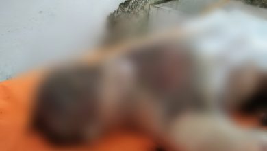 Photo of Hendak Menjala Ikan di Lau Biang, Kaban Temukan Mayat Laki-Laki Memakai Baju Kaos Merah Bertuliskan Alumni Pertanian USI