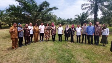 Photo of Sepulang dari Kantor Bupati DS Komite II DPD RI Singgah di Penara Kebun PTPN2