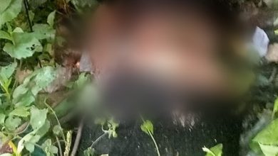 Photo of Jasad Balita Membusuk di Semak- semak Dekat Rumahnya di Batang Kuis