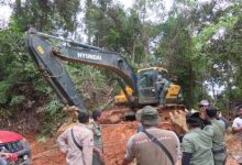 Photo of Pemodal Tambang Emas Ilegal di Taman Nasional Batang Gadis Ditangkap