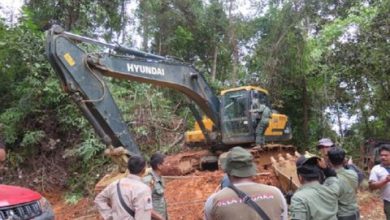 Photo of Pemodal Tambang Emas Ilegal di Taman Nasional Batang Gadis Ditangkap