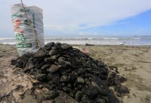 Photo of Soal Batu Bara Tumpah di Laut, FJL Desak Pemerintah Aceh Awasi Kinerja PT Mifa Bersaudara