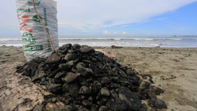 Photo of Soal Batu Bara Tumpah di Laut, FJL Desak Pemerintah Aceh Awasi Kinerja PT Mifa Bersaudara