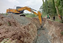 Photo of Ribuan Pohon Sawit Penggarap di HGU 103 Kebun Bulu Cina Berhasil Ditumbangkan