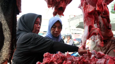 Photo of Pemprov Sumut Pastikan Stok Daging Sapi Terpenuhi Hingga Lebaran