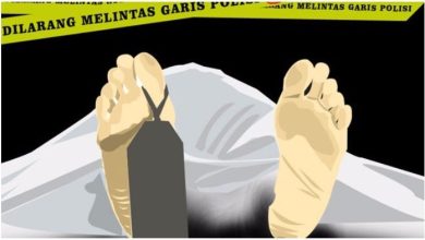 Photo of Janda Tewas Dibunuh Selingkuhan Dalam Kebun Sawit di Palas