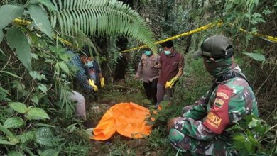 Photo of Warga Taput Temukan Mayat Perempuan Membusuk di Semak-semak