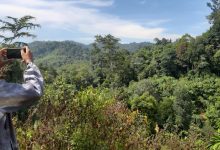 Photo of Temuan Bangunan Pemerintah di dalam Konsesi HGU, PT. Tegas Nusantara: Legal atau Illegal?