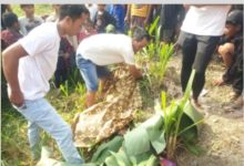 Photo of Seorang Bocah Meninggal Disambar Kereta Api di Lintasan Kecamatan Beringin