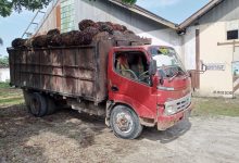 Photo of PTPN2 Amankan 9 Warga Langkat Kedapatan Mencuri Sawit di Kebun Tanjung Garbus